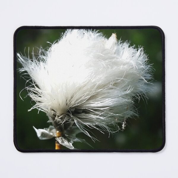 Item preview, Fluffy Flower Seeds designed and sold by CalmnessbyChoice.
