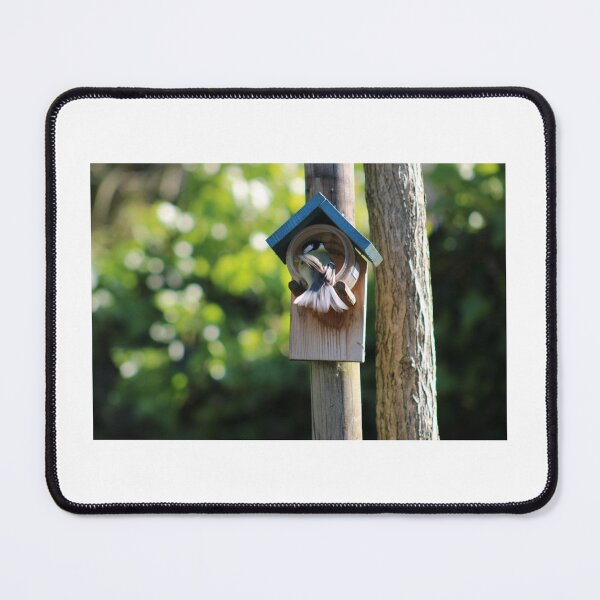 Item preview, Tiny Bird, Big World designed and sold by RyssaertPhoto.