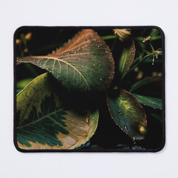 Item preview, Dewy Leaves in the Dark — Moody Green Botanical Macro Photography Print Wall Art Poster designed and sold by CunningMaskPrints.