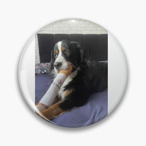 Item preview, Berne dog designed and sold by EmilianoBend.