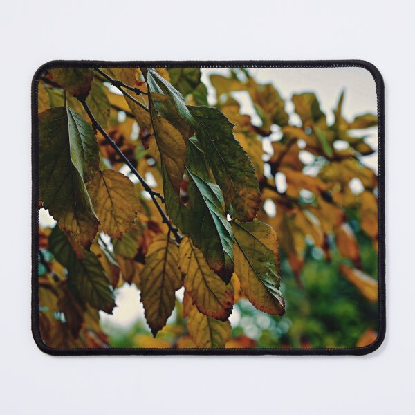 Item preview, Autumn Leaves on Branch — Moody Fall Foliage Nature Photography Print Wall Art Poster designed and sold by CunningMaskPrints.