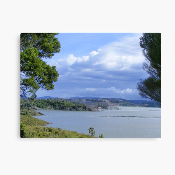 Savage River, Tasmania Canvas Print