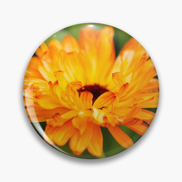 Item preview, Orange Marigold designed and sold by JeanKellyPhoto.