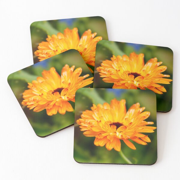Item preview, Orange Marigold designed and sold by JeanKellyPhoto.