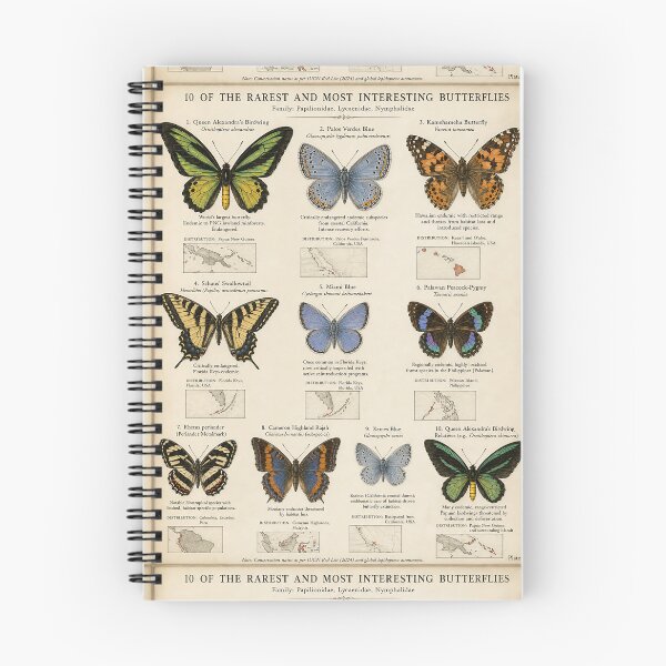 Item preview, Rarest Wings — Naturalist Etching of Ten Remarkable Butterflies designed and sold by Jandedan.