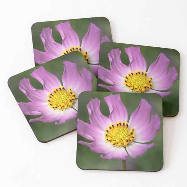 Item preview, Pink blooming cosmos flower on green background designed and sold by TanalyFlowers.
