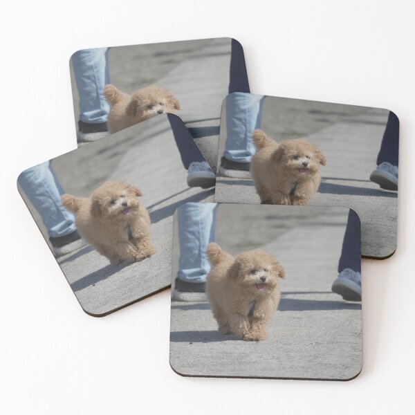Item preview, Cute Champagne Poodle Puppy on the Beach — Playful Summer Day designed and sold by ulvisuals.