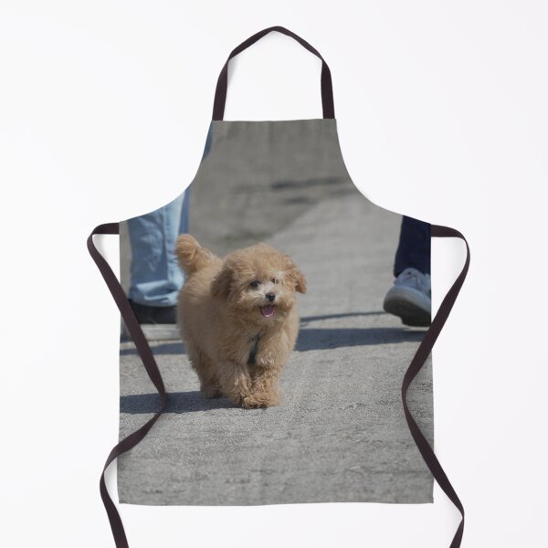 Item preview, Cute Champagne Poodle Puppy on the Beach — Playful Summer Day designed and sold by ulvisuals.