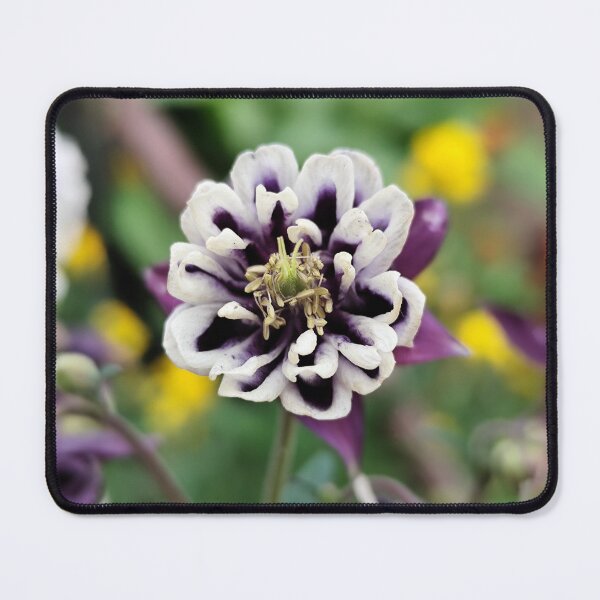 Item preview, Vivid Light Purple Cream Aquilegia House Decor designed and sold by vtspatial.