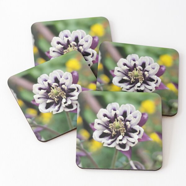 Item preview, Vivid Light Purple Cream Aquilegia House Decor designed and sold by vtspatial.