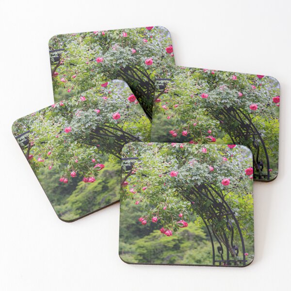 Item preview, The Rose Arch — Pink Climbing Roses on Black Iron designed and sold by Rabee Khalil Photography.