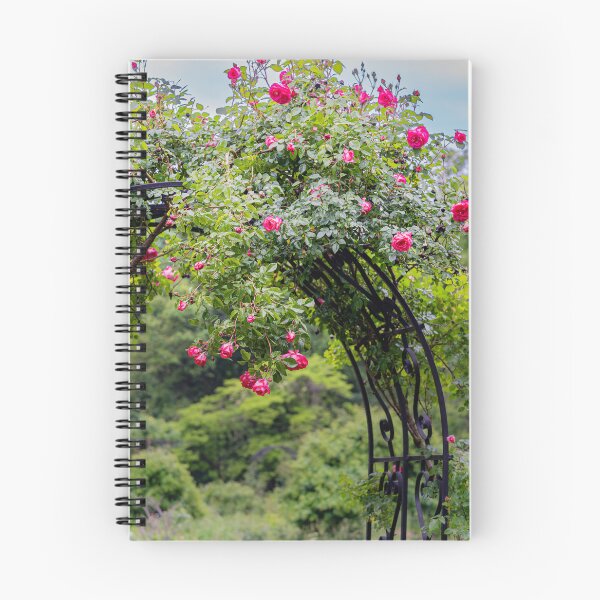 Item preview, The Rose Arch — Pink Climbing Roses on Black Iron designed and sold by Rabee Khalil Photography.