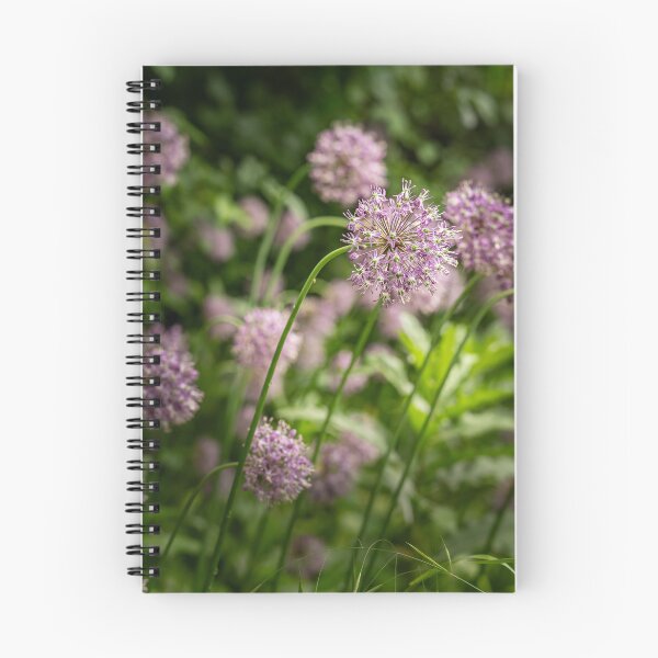 Item preview, Purple Globes — Allium Garden in Soft Focus designed and sold by Rabee Khalil Photography.