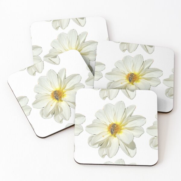 Item preview, White Dahlia Flower with Honeybee Pollinating Isolated on White designed and sold by BalkanBloom.