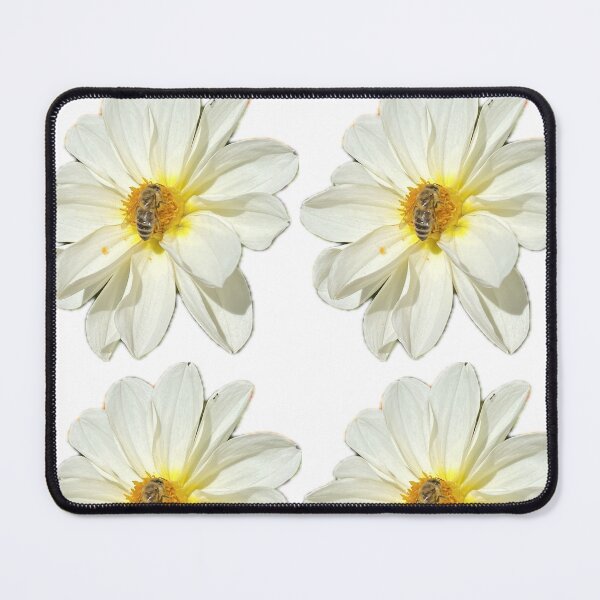 Item preview, White Dahlia Flower with Honeybee Pollinating Isolated on White designed and sold by BalkanBloom.