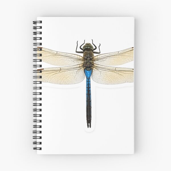 Item preview, Odonata designed and sold by Urbantheseus.