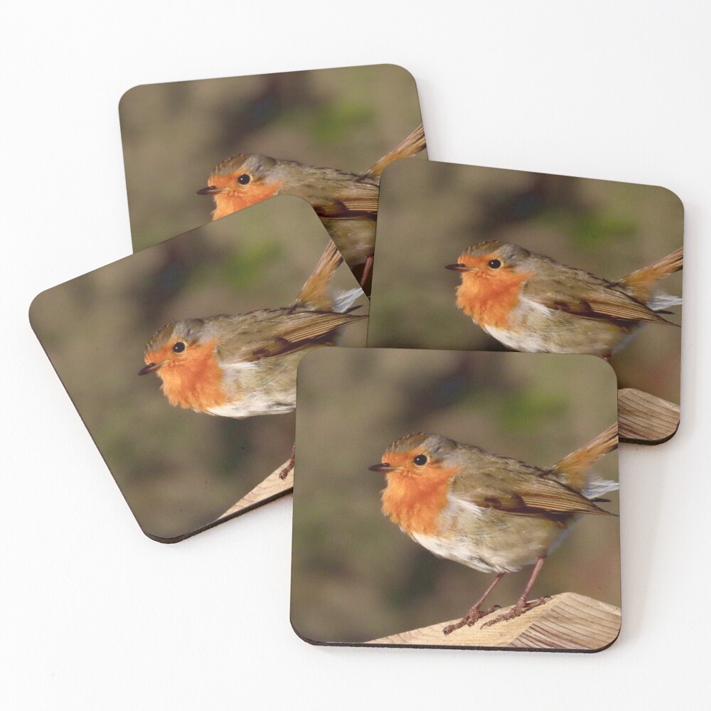 Item preview, Coasters (Set of 4) designed and sold by Ribster13.