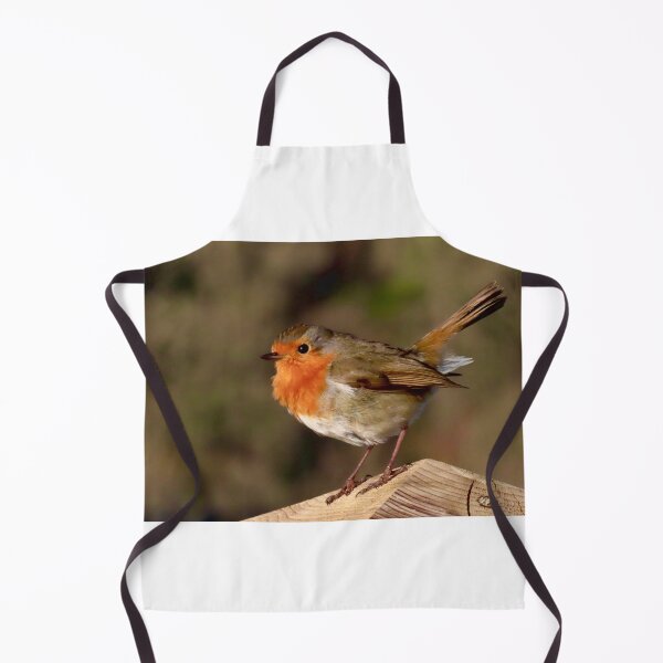 Item preview, Beautiful Robin small bird designed and sold by Ribster13.