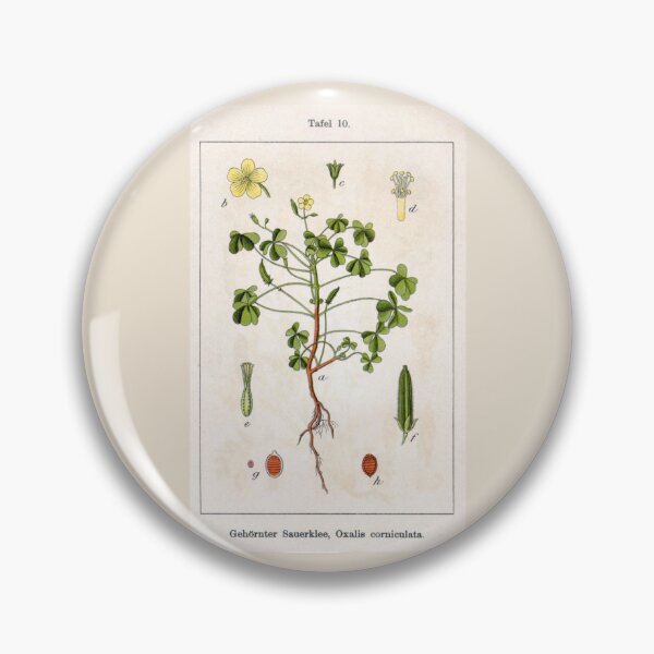 Item preview, Oxalis corniculata by Jacob Sturm designed and sold by Amanda1775.