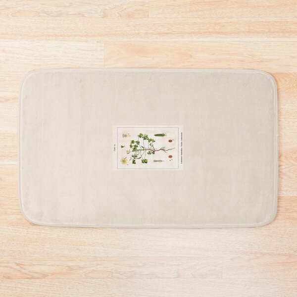 Item preview, Oxalis corniculata by Jacob Sturm designed and sold by Amanda1775.