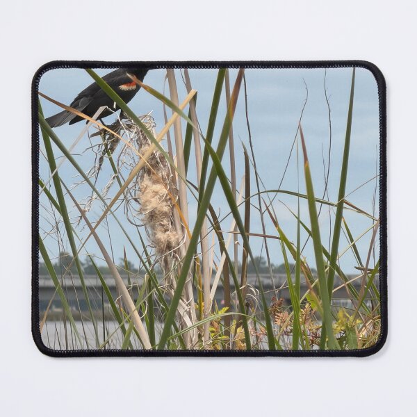 Item preview, Red-Winged Blackbird Perched in Reeds. designed and sold by Pearls1.