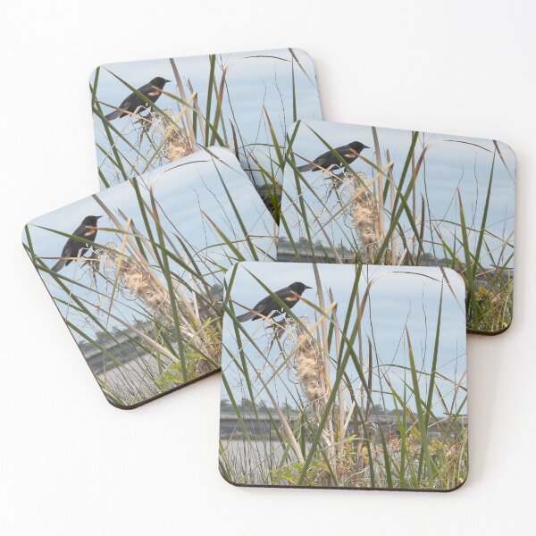 Item preview, Red-Winged Blackbird Perched in Reeds. designed and sold by Pearls1.