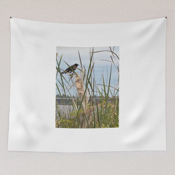 Item preview, Red-Winged Blackbird Perched in Reeds. designed and sold by Pearls1.