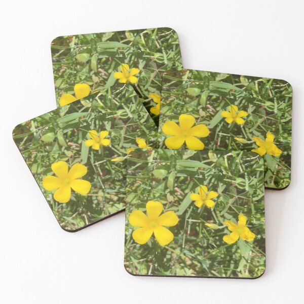 Item preview, Oxalis  designed and sold by Amanda1775.