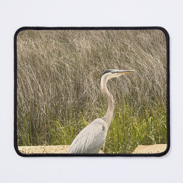 Item preview, Majestic Great Blue Heron in Nature. designed and sold by Pearls1.