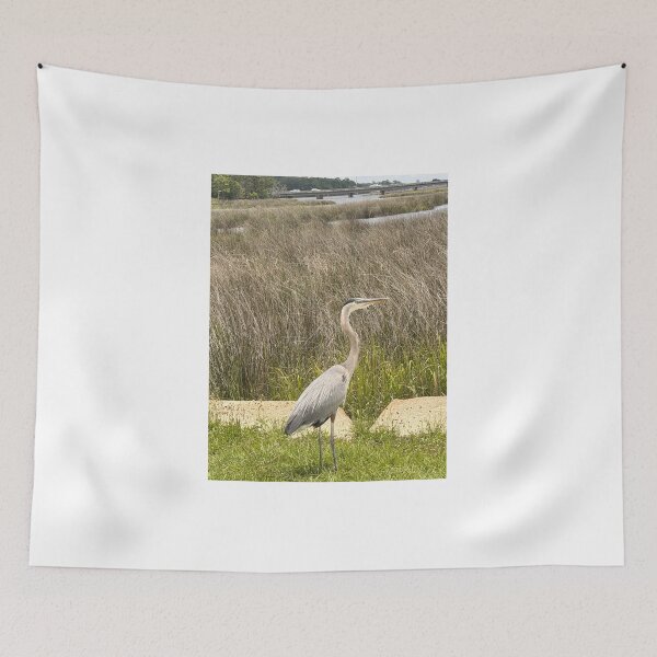 Item preview, Majestic Great Blue Heron in Nature.  designed and sold by Pearls1.