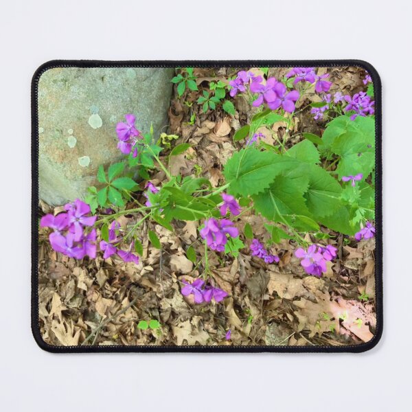 Item preview, Lunaria designed and sold by Amanda1775.
