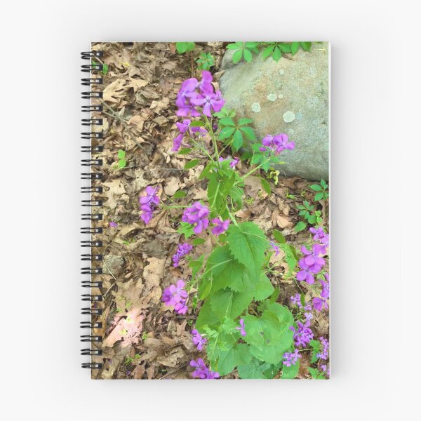 Item preview, Lunaria designed and sold by Amanda1775.
