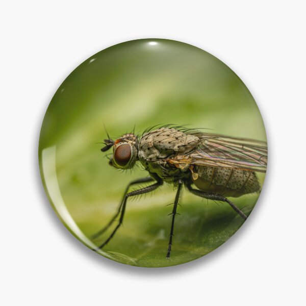 Item preview, After the Rain — Fly Macro Portrait on Wet Leaf designed and sold by Rabee Khalil Photography.