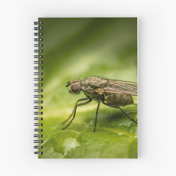 Item preview, After the Rain — Fly Macro Portrait on Wet Leaf designed and sold by Rabee Khalil Photography.