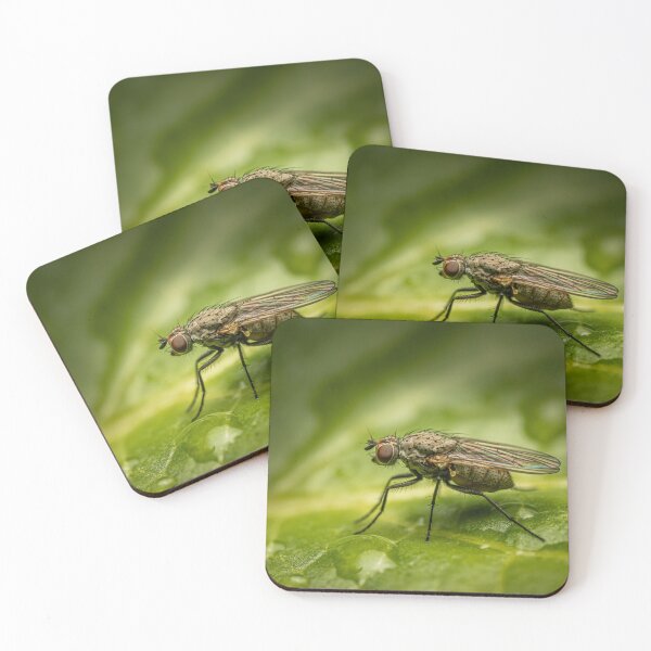 Item preview, After the Rain — Fly Macro Portrait on Wet Leaf designed and sold by Rabee Khalil Photography.
