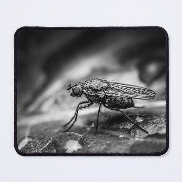 Item preview, Steel and Rain — Fly Macro in Black and White designed and sold by Rabee Khalil Photography.