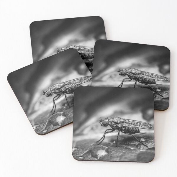 Item preview, Steel and Rain — Fly Macro in Black and White designed and sold by Rabee Khalil Photography.