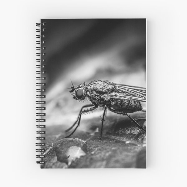 Item preview, Steel and Rain — Fly Macro in Black and White designed and sold by Rabee Khalil Photography.