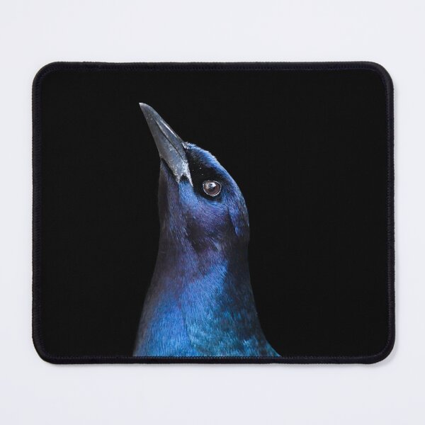 Item preview, Graceful Grackle designed and sold by richardbryce.