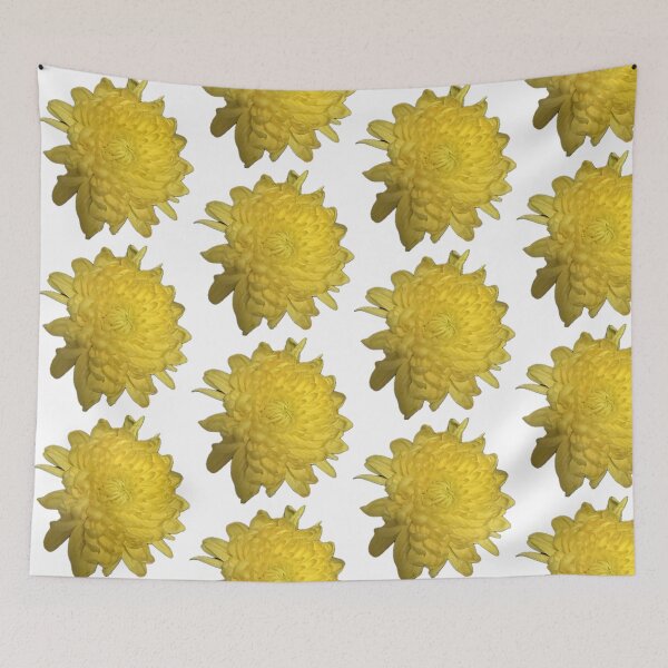 Item preview, Vibrant Yellow Chrysanthemum Bloom Isolated on White designed and sold by BalkanBloom.
