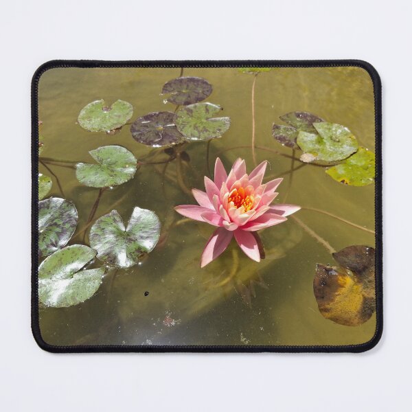 Item preview, Water lilies blooming in a stream in nature designed and sold by yeshayad.