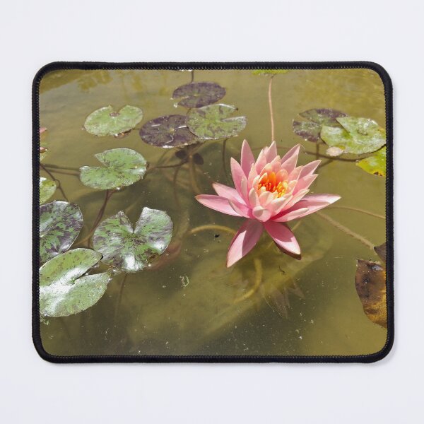 Item preview, Water lilies blooming in a stream in nature designed and sold by yeshayad.