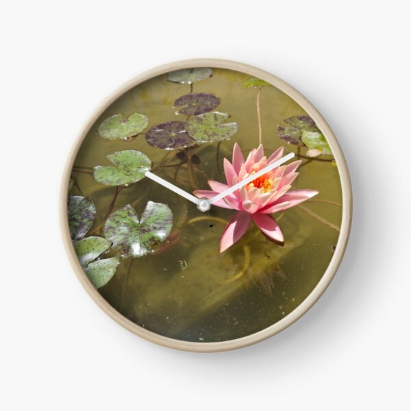 Item preview, Water lilies blooming in a stream in nature designed and sold by yeshayad.
