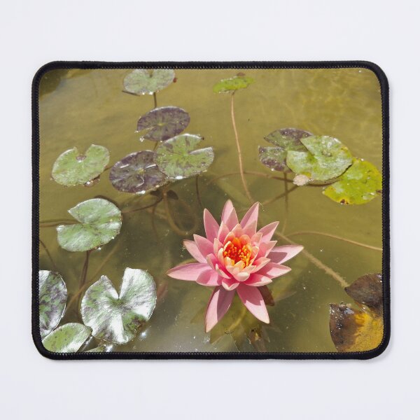 Item preview, Water lilies blooming in a stream in nature designed and sold by yeshayad.