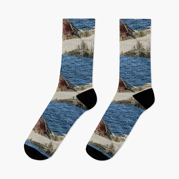 Item preview, Bird at the Lake designed and sold by heatherfriedman.