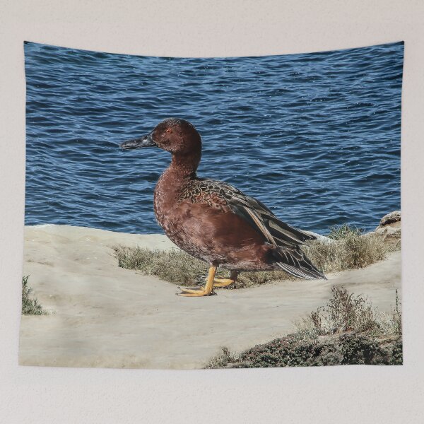 Item preview, Bird at the Lake designed and sold by heatherfriedman.