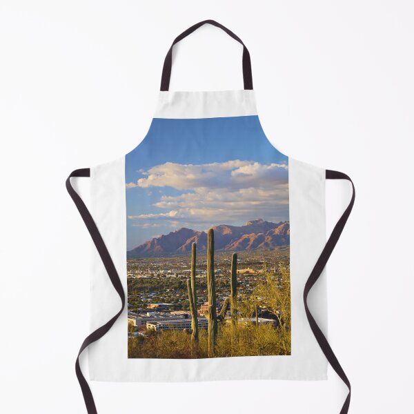 Item preview, Cactus Overlooking Mountain Range designed and sold by Phakade's Photos.