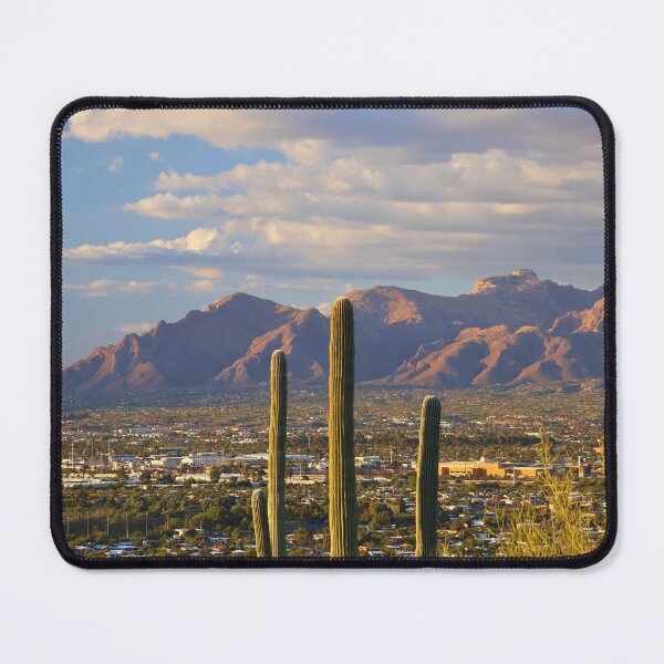 Item preview, Cactus Overlooking Mountain Range designed and sold by Phakade's Photos.