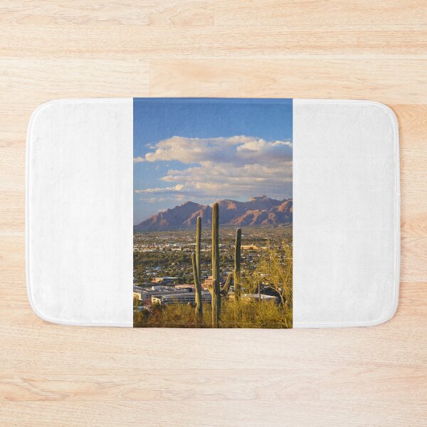 Item preview, Cactus Overlooking Mountain Range designed and sold by Phakade's Photos.