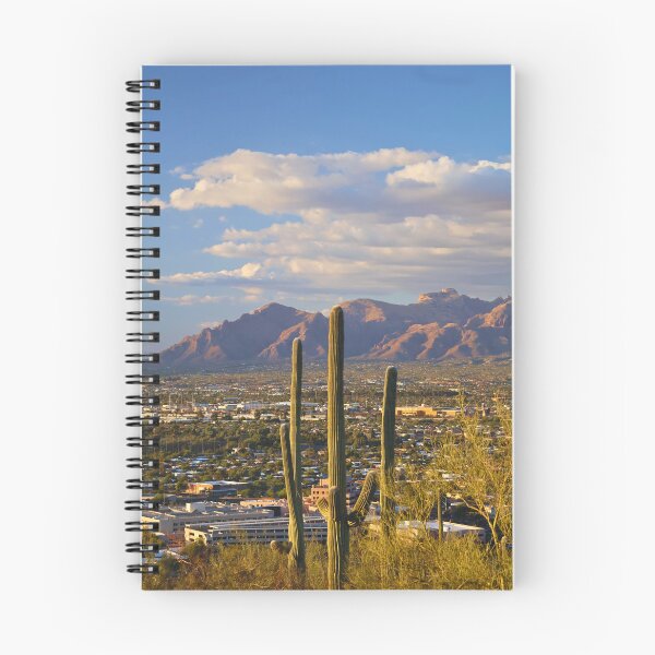 Item preview, Cactus Overlooking Mountain Range designed and sold by Phakade's Photos.
